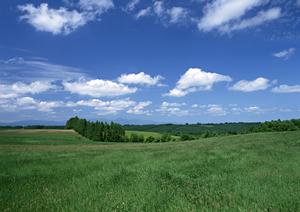 静岡市の信頼と実績を誇る富士葬祭 聖一色｜家族葬・葬儀場の詳細情報と特徴