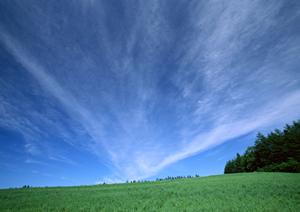 静岡市清水区の家族葬ホール【家族葬のタクセル上原】?安心・低価格・宗派不問の葬儀サービス