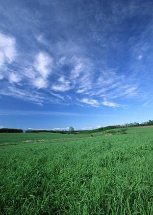 静岡県焼津市に新規オープンした家族葬ホール「家族葬のタクセル西焼津」の詳細と特徴