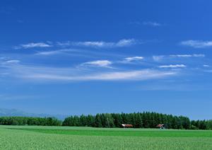 富士葬祭 富士瓜島の家族葬・葬儀場：静岡県富士市で信頼と安心を提供する葬儀サービス
