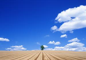 【静岡県富士市原田】地域に根ざした安心の葬儀サービス「富士葬祭 富士原田」のご案内