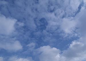 静岡県浜松市で信頼の葬儀サービスを提供する「富士葬祭 高林」の特徴と店舗情報