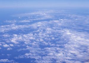 静岡県浜松市にある家族葬専門の葬儀場「家族葬のタクセル葵西」：安心と低価格を実現した新しい葬儀スタイル